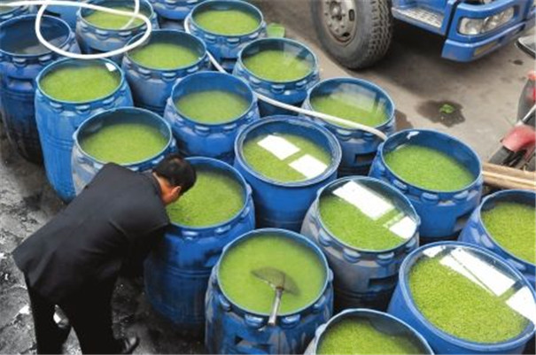 豌豆淀粉加工設備