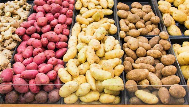 淀粉、粉條加工原料