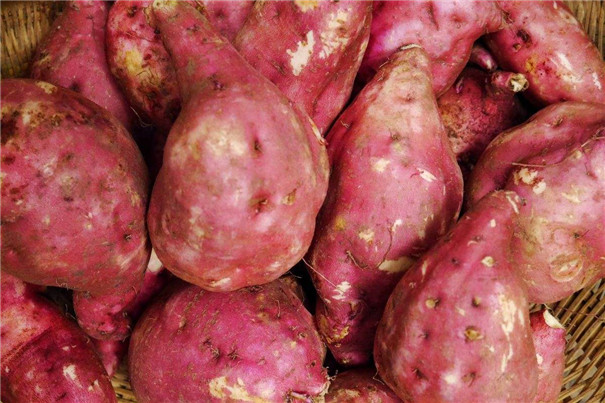 經(jīng)濟(jì)型紅薯淀粉生產(chǎn)線